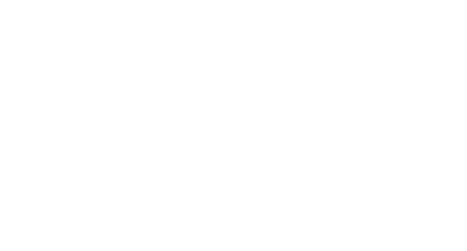 Tristar Holding